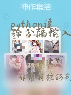 python逗号分隔输入