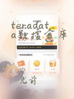 teradata数据仓库