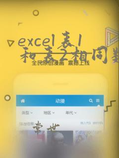 excel表1和表2相同数据匹配
