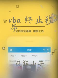 vba 终止程序