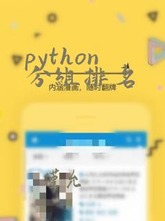 python 分组排名