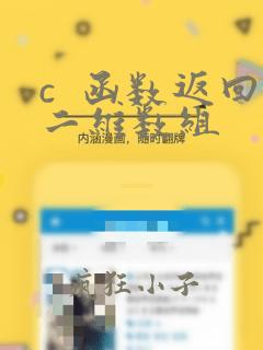 c  函数返回二维数组