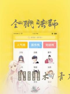 全职法师：结局+番外