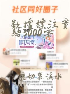 数据标注实习总结3000字