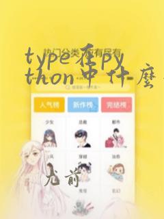 type在python中什么意思