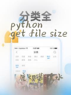 python get file size