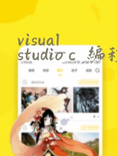 visual studio c  编程