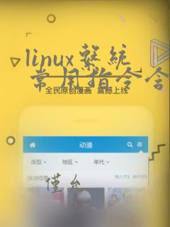linux系统常用指令含义