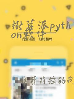 树莓派python软件