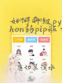如何升级python的pip版本