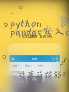 python pandas写入csv