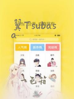 翼Tsubasa：结局+番外