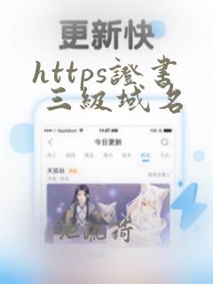 https证书 三级域名