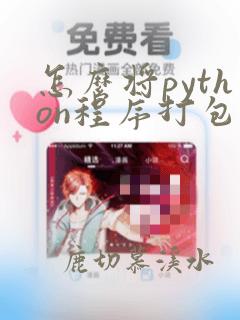 怎么将python程序打包