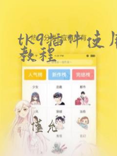 tk9插件使用教程