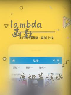 lambda 函数