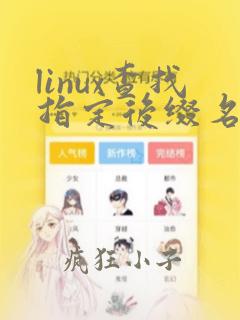 linux查找指定后缀名的文件