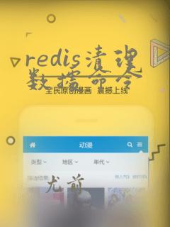 redis清理数据命令
