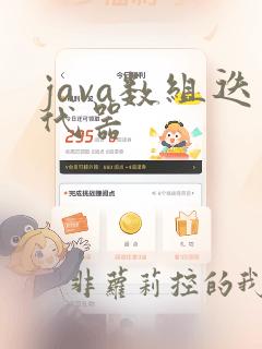 java数组迭代器