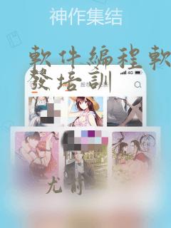 软件编程软件开发培训