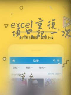 excel重复项只记一次数