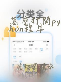 怎么打开python程序