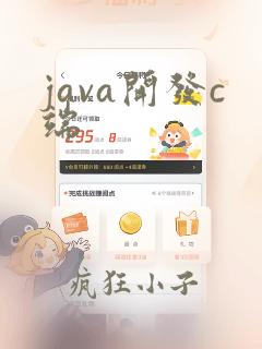 java开发c端