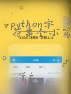 python字符串全小写