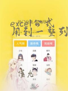 excel公式用到一整列