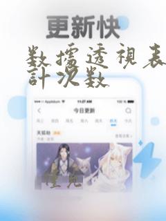 数据透视表 统计次数