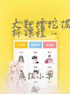 大数据挖掘与分析课程