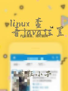 linux 查看java位置