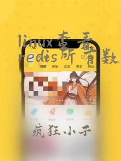 linux查看redis所有数据