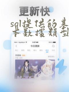 sql提供的基本数据类型有哪些