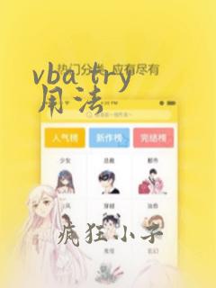 vba try用法
