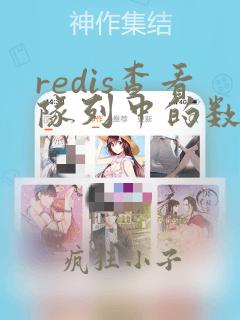 redis查看队列中的数据