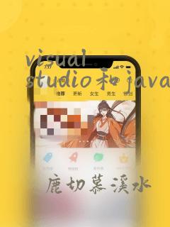 visual studio和java