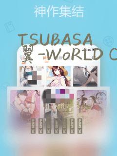 TSUBASA翼-WoRLD CHRoNiCLE 梦幻之岛篇：结局+番外