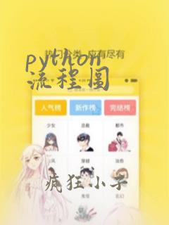 python 流程图
