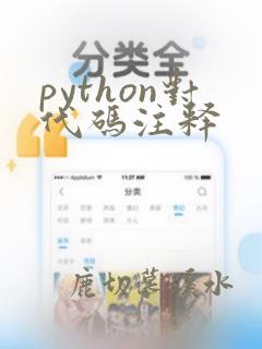 python对代码注释