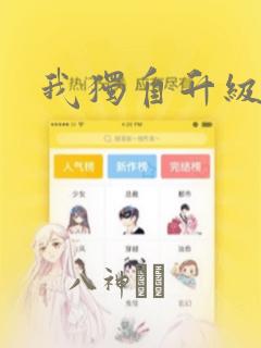 我独自升级