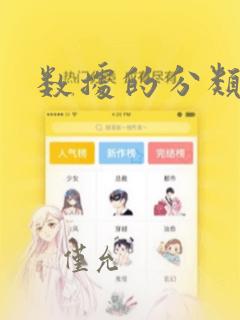 数据的分类汇总