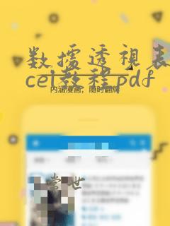 数据透视表excel教程pdf