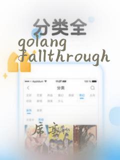 golang fallthrough
