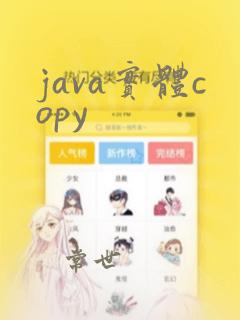 java实体copy