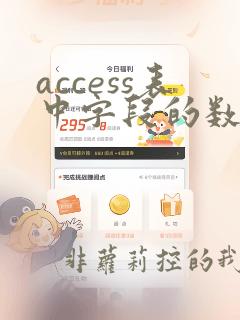 access表中字段的数据类型