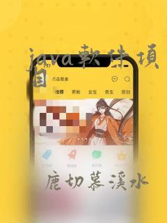 java软件项目