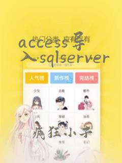 access导入sqlserver