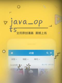 java_opts