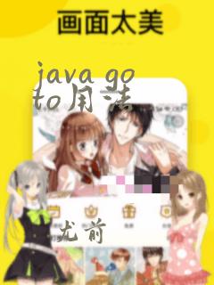 java goto用法